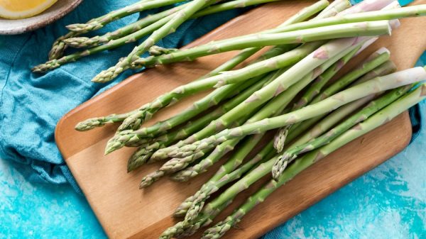 Light summer meal ideas: 5 recipes for summer meal planning for the family | cool mom eats